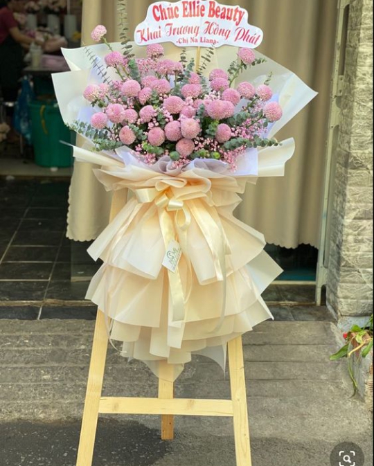 HOA MAY MẮN