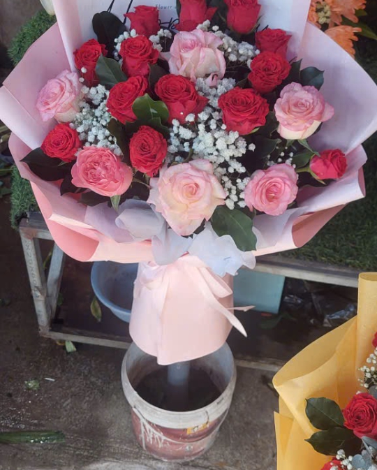 NGÀY 20/11 HẠNH PHÚC